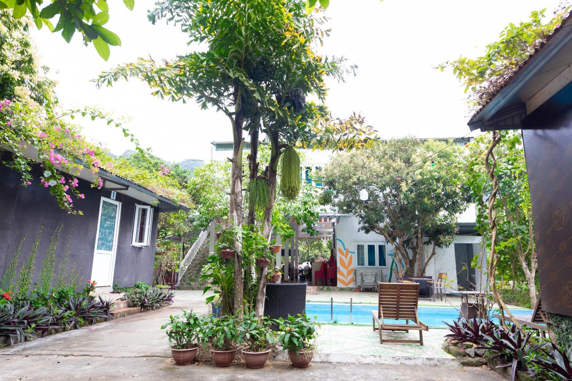 Cat Ba Countryside Homestay Dong Khe Sau Экстерьер фото