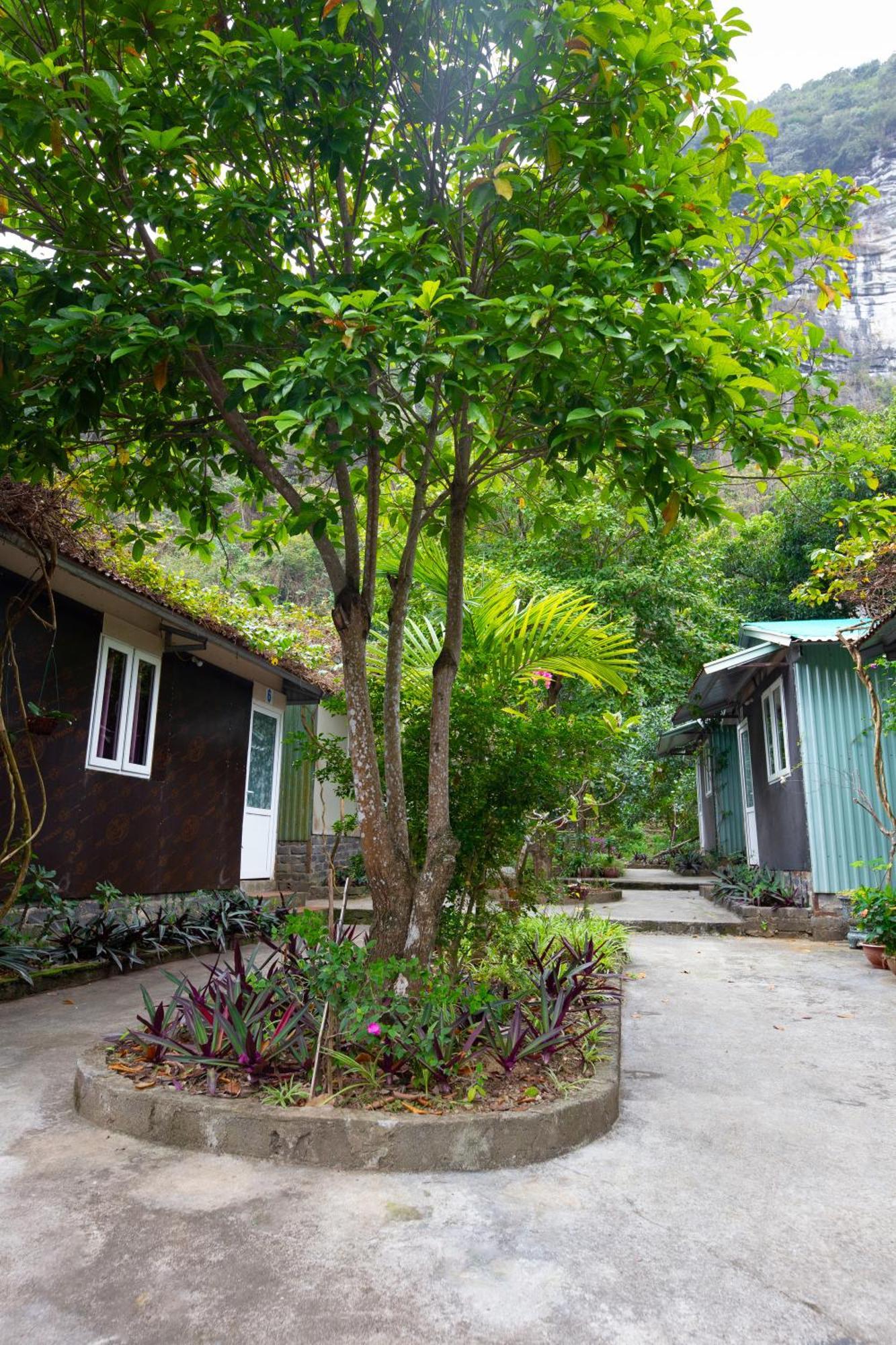 Cat Ba Countryside Homestay Dong Khe Sau Экстерьер фото